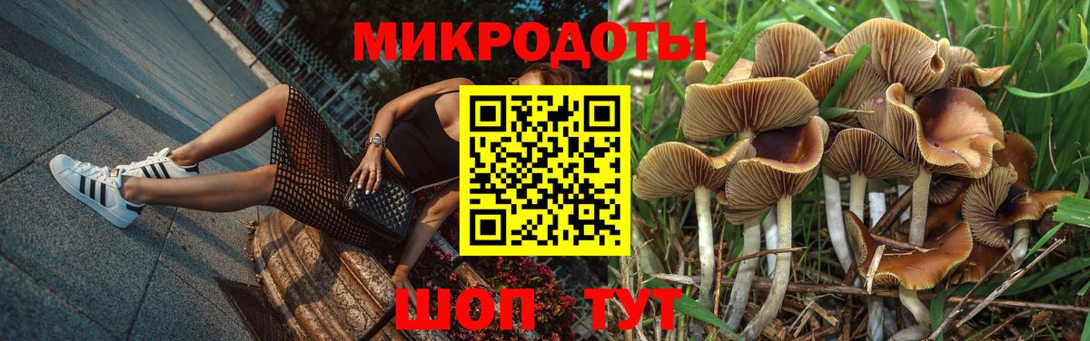 купить наркотики сайты  Псилоцибиновые грибы прущие грибы  Вход с VPN  Воркута 